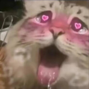 她才18岁怎么守得住B