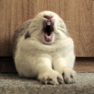 el' cam - steam id 76561197963196981