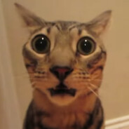 Just a Bowl of Blueberries