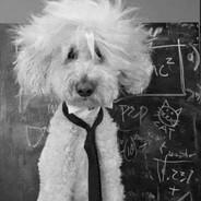 Prof P