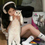 我要成为麻将高手