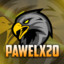 Pawelx20