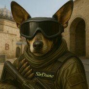 SirDune - steam id 76561197964444732