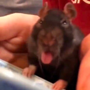 开挂打我死全家全族