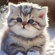 苏苏想变成一只猫