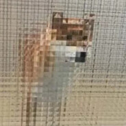 养老院老板 咏麟