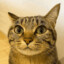 Anton