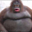 goonermonkey69