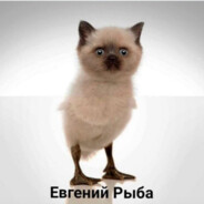 Евгений Александров avatar