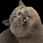 -mithantrop - steam id 76561198884284008