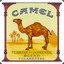 CAMEL BROWN