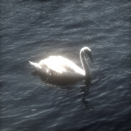 streyn's avatar