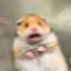 jianjianyaayaa