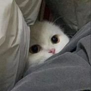 nopeek
