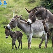 苍山有井名为空