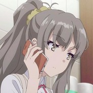 梦里折枝