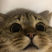 十三岁阳光少年