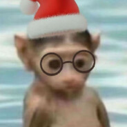 一只猴子落入水中