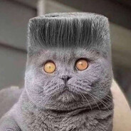 abubakrhoodcrackar2092