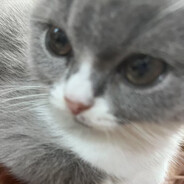 ღ사요 나라~！