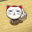 TURBO CAT