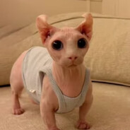 世界第一的美少女