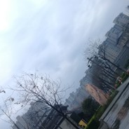 Dalao-五彩斑斓的黑