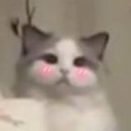 最强传说と绝凶の雪豹