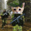 Jägare Gato