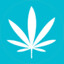 Blunt