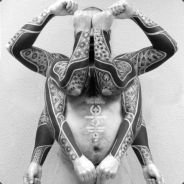 赤子之心以梦为马