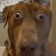 НАБУХШИЕ ЯЙЦА