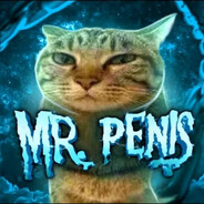 Mr. Penis