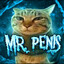 Mr. Penis