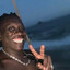 Catucador de Goiaba