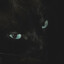 Moriarty