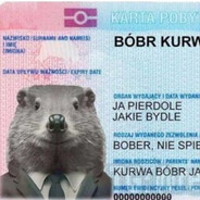 Bóbr Kurwa avatar