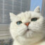 猴娜姐姐