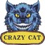 Crazy Cat