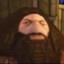 HAGRID