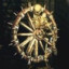 Bone Wheel
