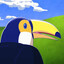 Toucan