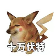 京海集团陈舒婷