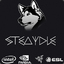 Steaydle