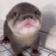 WillmaDickfit's avatar