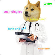 Dr. Doge
