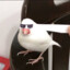 小街溜 叼华子