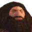 PS1 Hagrid