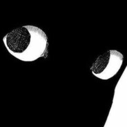 Nesst - steam id 76561199545851075