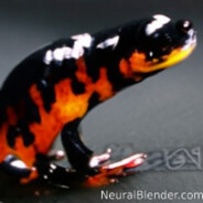 Enraged Salamander